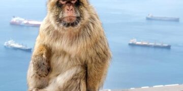 Game-Changer: Gibraltar-Spain Land Border May Vanish by April 10!