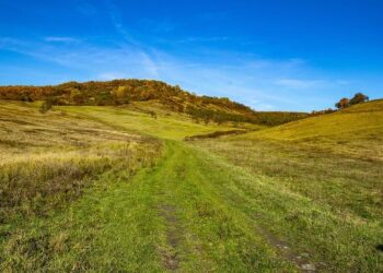 Countdown to Change: Key Insights for the Czech Republic’s Upcoming Parliamentary Elections