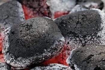 Fuel, Food, and Fury: How the Iran War Could Shake Up South Asian Governments