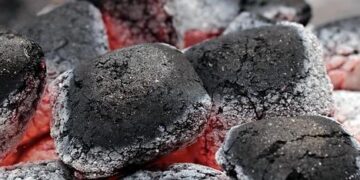 Fuel, Food, and Fury: How the Iran War Could Shake Up South Asian Governments