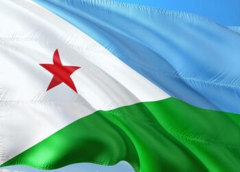 Introducing the ‘Hiil-Walaal’ Brigade: Djibouti’s Bold Step Towards Peace in Somalia