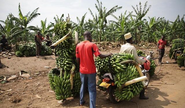 Time to Act: Urgent Appeal to Remove Internet Restrictions Before Uganda’s Crucial Election!