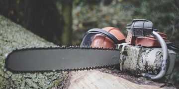 Transforming Landscapes: How Smart Afforestation Can Reduce Flood Risks and Preserve Water in Europe