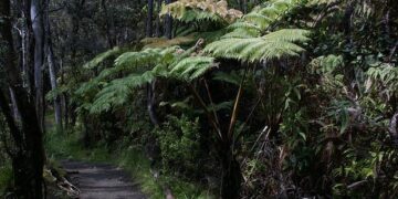 Visitors Make a Splash: $400K Boost for Hawaiʻi and American Samoa Parks!