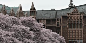 Experience the Magic: Cherry Blossoms Turn Warsaw into a Floral Wonderland!