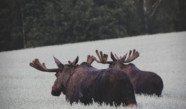 Unplugged in Norway: Your Must-Read Friday News Highlights!