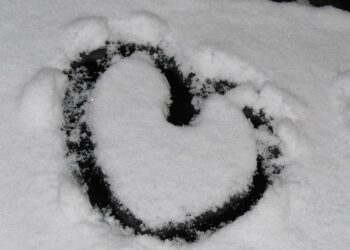 Charlotte Casiraghi Exudes Timeless Elegance at the Monte-Carlo Masters