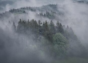 Ukrainian Drone Mishap in Lithuania: Key Details Unveiled!