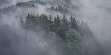 Ukrainian Drone Mishap in Lithuania: Key Details Unveiled!