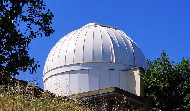 Astros Shake Up Roster: J.P. France Demoted as Jayden Murray Takes the Spotlight!