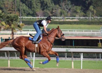 Step into History: Join the Jockey Hollow Encampment for Muskets, Scenic Hikes, and a Glimpse of George & Martha on April 18-19!