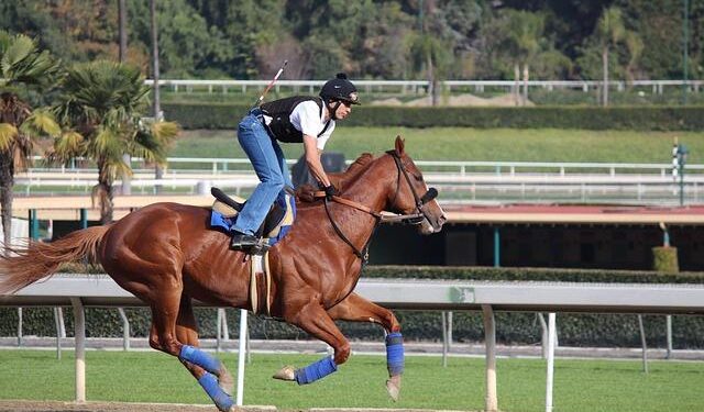 Step into History: Join the Jockey Hollow Encampment for Muskets, Scenic Hikes, and a Glimpse of George & Martha on April 18-19!