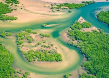 Senegal’s Pivotal Moment: Embracing a New Era of Transformation