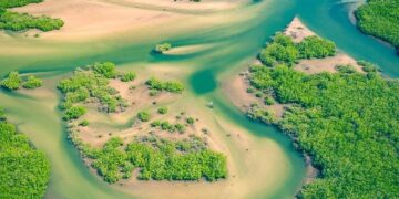 Senegal’s Pivotal Moment: Embracing a New Era of Transformation