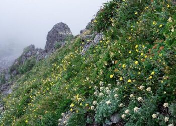 Drama Unleashed: The Exciting Seating Chart for Southern Hospitality Season 4 Reunion Revealed!