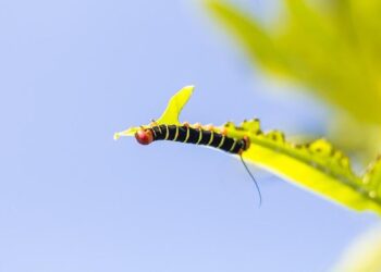 Transforming the Future: TGS and Equatorial Guinea Join Forces to Revolutionize Seismic Data