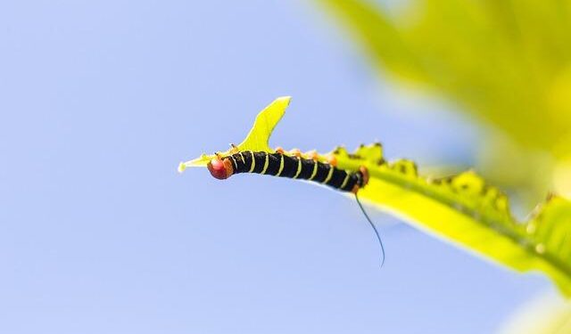 Transforming the Future: TGS and Equatorial Guinea Join Forces to Revolutionize Seismic Data