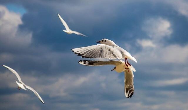 Bulgaria and Slovenia Win EU Green Light for Exciting Electricity Price Relief Programs!