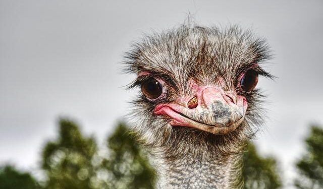 Massive M1 Pile-Up: Essential Information to Navigate the Chaos!