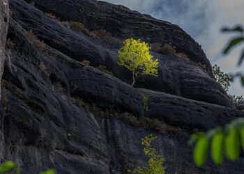 Unmasking the PowMix Botnet: A Hidden Danger to the Czech Workforce