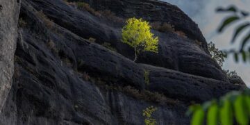 Unmasking the PowMix Botnet: A Hidden Danger to the Czech Workforce