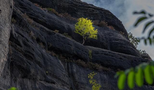 Unmasking the PowMix Botnet: A Hidden Danger to the Czech Workforce