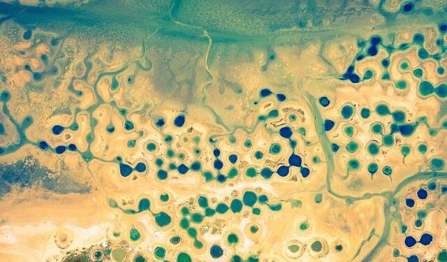 Senegal’s Harsh Anti-Gay Law Puts Years of HIV Progress at Risk