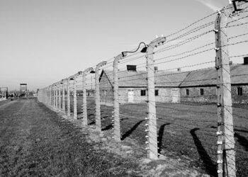 Justice in Limbo: The Uncertain Future of the Ex-Rwandan President’s Widow