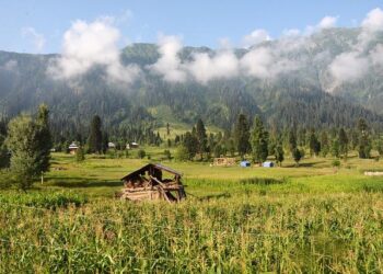 Pakistan Champions Libya’s Sovereignty and Calls for a Homegrown Peace Process at the UN