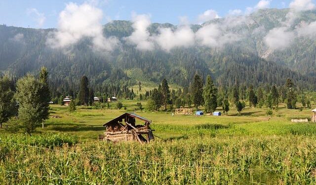 Pakistan Champions Libya’s Sovereignty and Calls for a Homegrown Peace Process at the UN