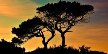 Cyprus Steps Up: A Bold €90 Billion Commitment to Support Ukraine