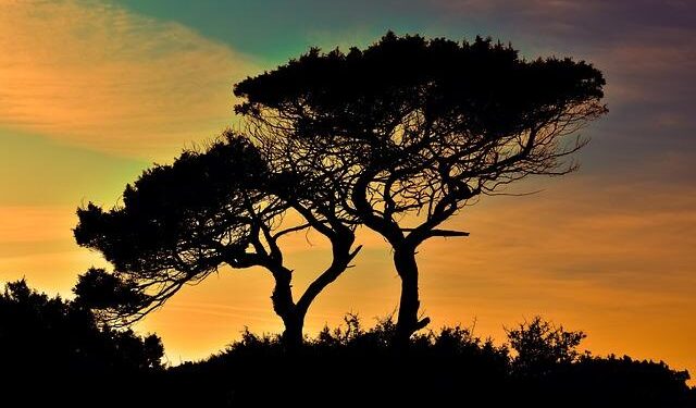 Cyprus Steps Up: A Bold €90 Billion Commitment to Support Ukraine