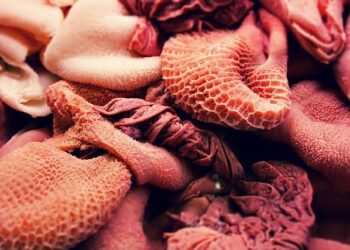 Former President Rumen Radev Poised for Victory in Bulgaria’s Election!