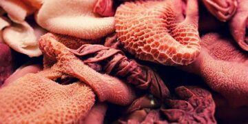 Former President Rumen Radev Poised for Victory in Bulgaria’s Election!