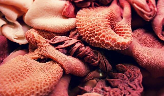 Former President Rumen Radev Poised for Victory in Bulgaria’s Election!