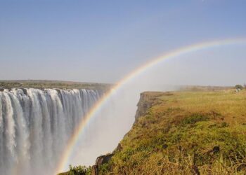 Zimbabwe’s ‘Crocodile’ Leader Aims for Eternal Rule: The Quest for Lifelong Presidency