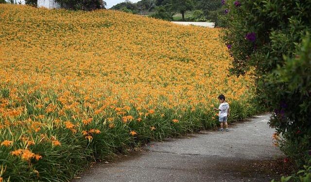 Taiwan’s Defiant Stance: FM Delivers Powerful Message on China During Eswatini Visit