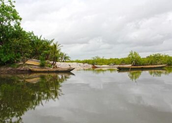 Escape to Paradise: Unmissable Travel Deals for Gambia and Cape Point!