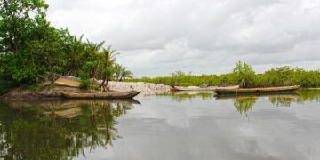 Escape to Paradise: Unmissable Travel Deals for Gambia and Cape Point!