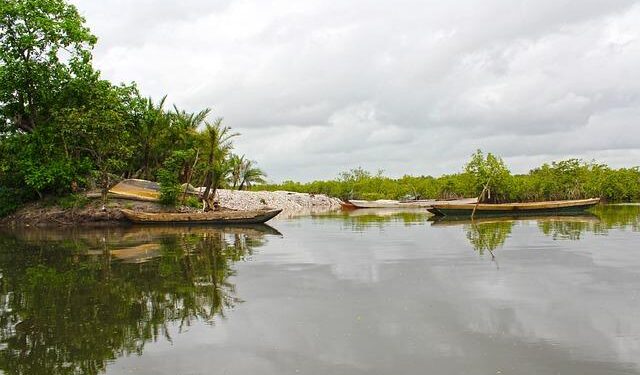 Escape to Paradise: Unmissable Travel Deals for Gambia and Cape Point!