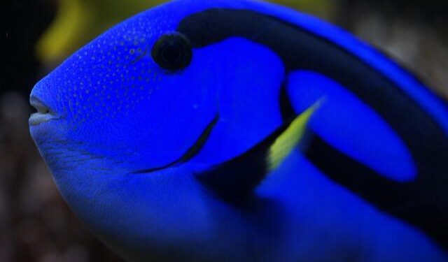 Hiking Trip Turns Dark: Doctor Found Guilty in Shocking Attempted Murder Case