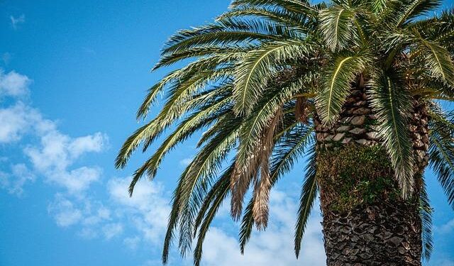 Escape to Paradise: Uncover the Magic of Fiji for Your Ultimate Spring Break Adventure!