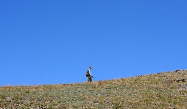 Exciting News: Turkey Hunting Season Opens in Connecticut This Wednesday!