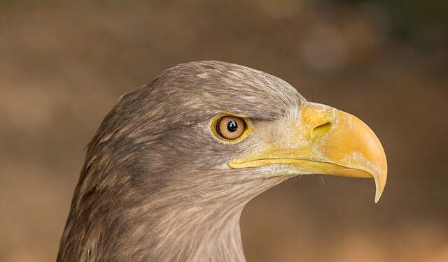 Heartbreaking Weekend: Remembering the Five Lives Tragically Lost on Northern Ireland’s Roads