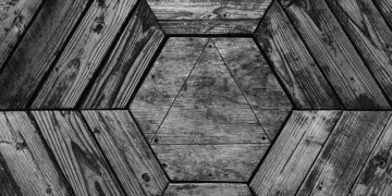 Ukraine Strikes Back: Major Smuggling Ring of Illegal Timber into the EU Exposed and Dismantled!