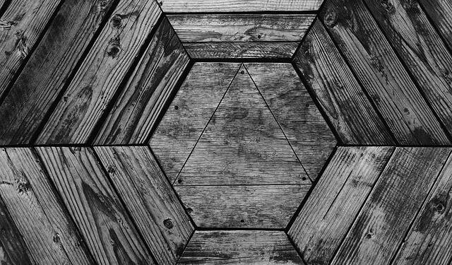 Ukraine Strikes Back: Major Smuggling Ring of Illegal Timber into the EU Exposed and Dismantled!