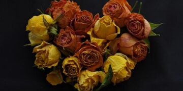 Lithuania Takes the Lead: Bold Move to Ban Russian Oil During EU Presidency