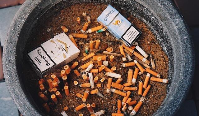 Top Tips for a Stress-Free PCS Move with Your Furry Friends!