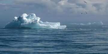 Transforming Tonga’s Economy: Bold Strategies to Tackle Climate Change Challenges