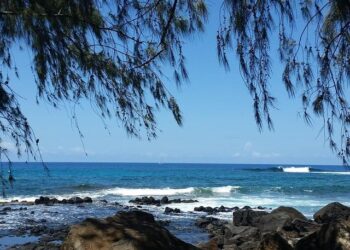 Kauai Man Gears Up for Transformative Surgery After Surviving a Near-Death Experience